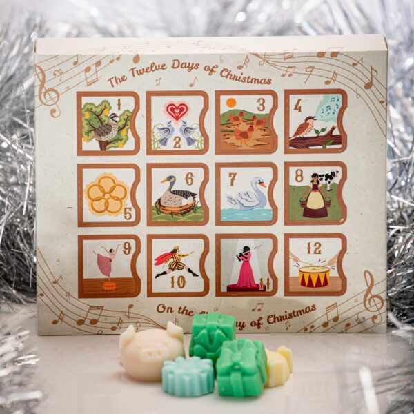 Hand illustrated 12 Days of Christmas Advent Calendar with Wax Melts