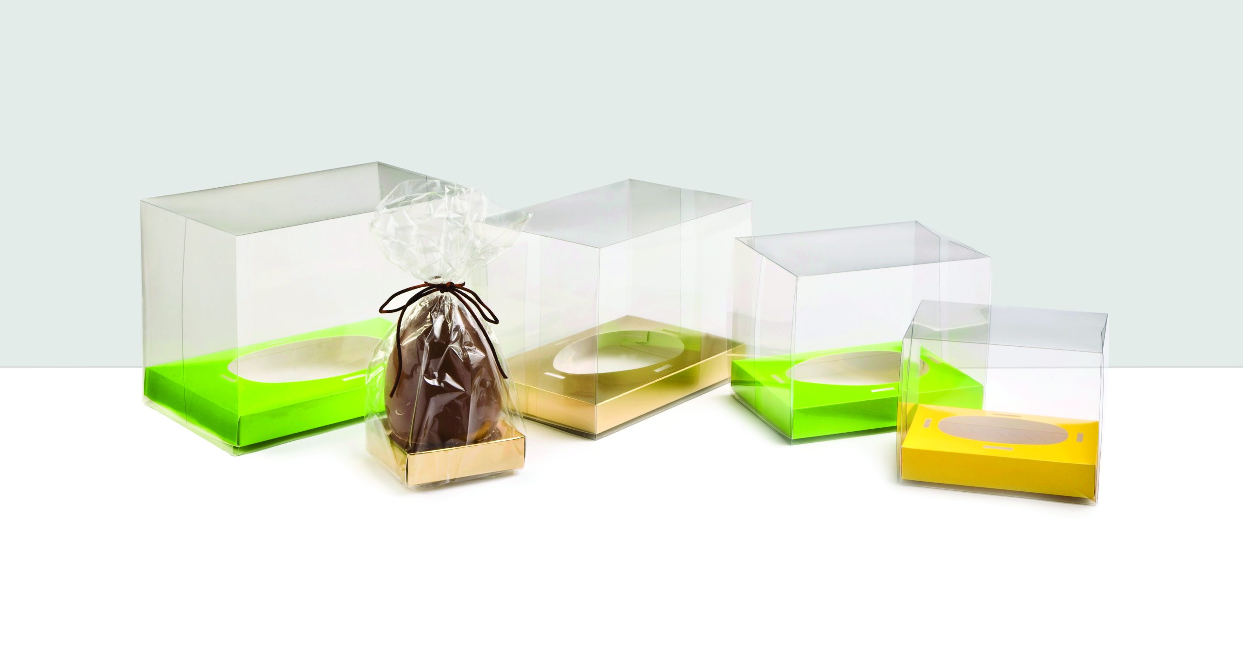 Clear Rectangular Egg Cartons